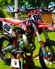 Load image into Gallery viewer, SIERRA NEVADA