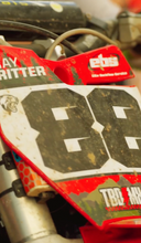 Load image into Gallery viewer, SIERRA NEVADA