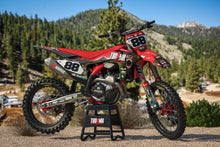 Load image into Gallery viewer, SIERRA NEVADA